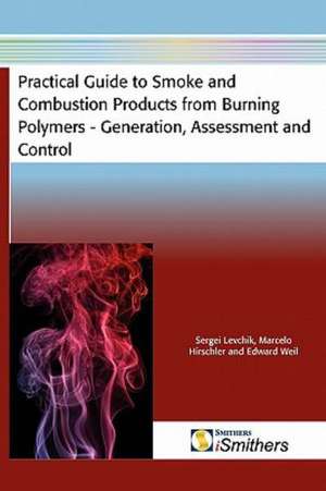 Practical Guide to Smoke and Combustion Products from Burning Polymers - Generation, Assessment and Control de Sergei Levchik