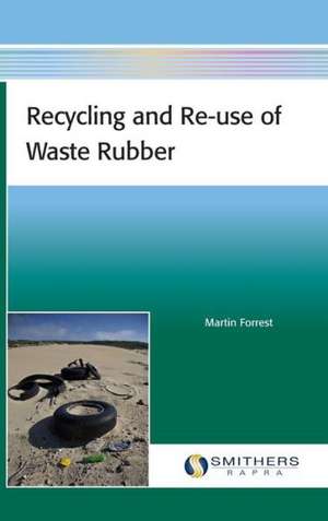 Recycling and Re-Use of Waste Rubber: A Non-Viral Gene Delivery Vector de Martin Forrest