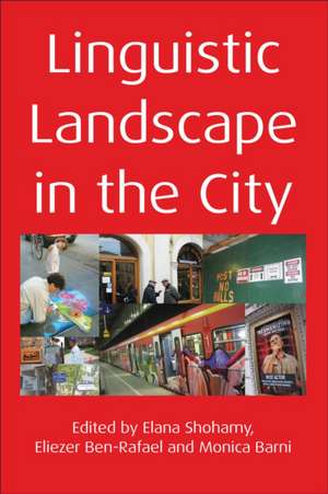 Linguistic Landscape in the City. Edited by Elana Shohamy, Eliezer Ben-Rafael and Monica Barni