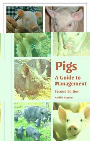 Pigs de Neville Beynon