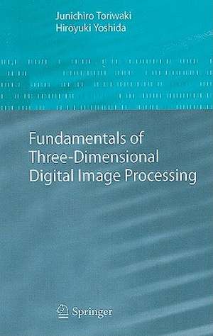 Fundamentals of Three-dimensional Digital Image Processing de Junichiro Toriwaki