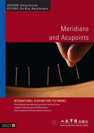 Meridians and Acupoints de Wang Hongcai