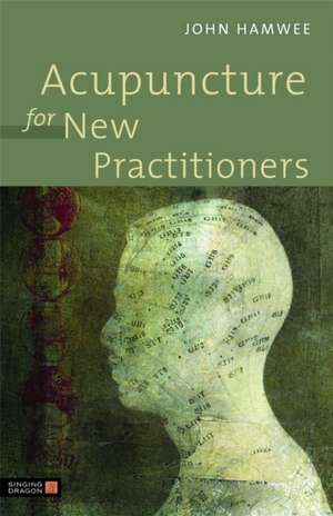 Acupuncture for New Practictioners: Foundation de John Hamwee