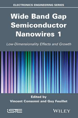 Wide Band Gap Semiconductor Nanowires for Optical Devices – Low–Dimensionality Related Effects and Growth de V Consonni