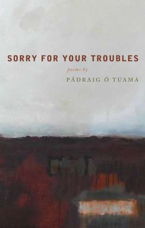 Sorry for Your Troubles de Padraig O Tuama