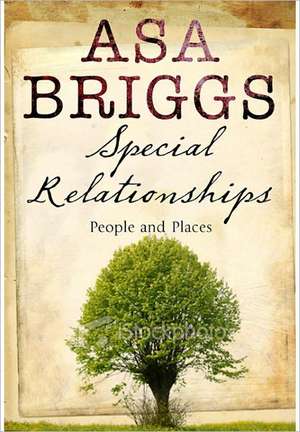 Special Relationships de Asa Briggs