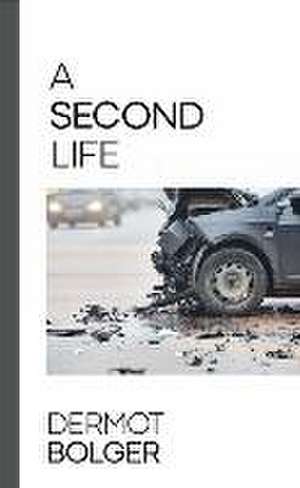 A Second Life de Dermot Bolger