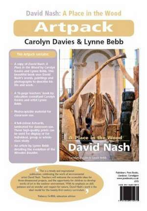 A Place in the Wood: David Nash de CAROLYN DAVIES