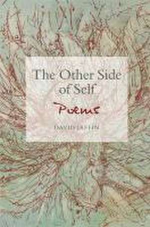 The Other Side of Self de David Jaffin