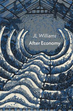 After Economy de Jl Williams