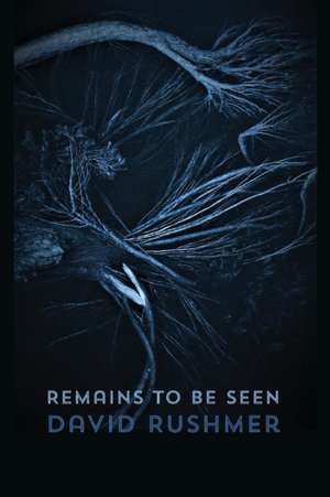 Remains to Be Seen de David Rushmer