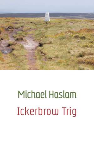 Ickerbrow Trig de Michael Haslam