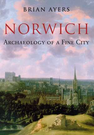 Norwich Archaeology of a Fine City de Brian Ayers