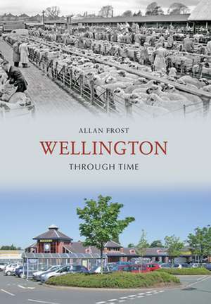 Wellington Through Time de Allan Frost