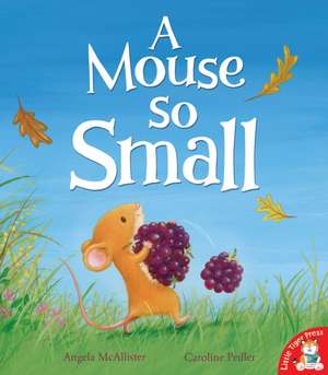 A Mouse So Small de Angela McAllister