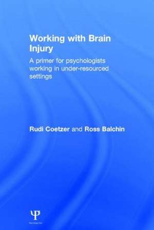 Working with Brain Injury: A primer for psychologists working in under-resourced settings de Rudi Coetzer