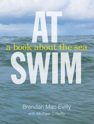 At Swim: A Book about the Sea de Brendan Macevilly