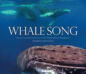 Whale Song de Andrew Stevenson