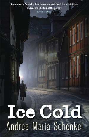 Ice Cold de Andrea Maria Schenkel