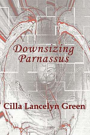 Downsizing Parnassus de Cilla Lancelyn Green