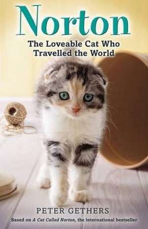 Norton, The Loveable Cat Who Travelled the World de Peter Gethers