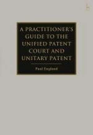 A Guide to Litigation in the New European Patent System de Paul (Taylor WessingLondon England