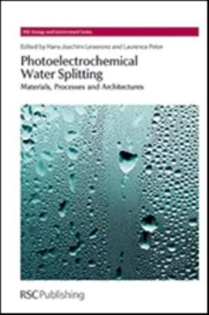 Photoelectrochemical Water Splitting de Ferdi Schuth