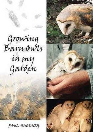 Growing Barn Owls in My Garden de Paul Hackney