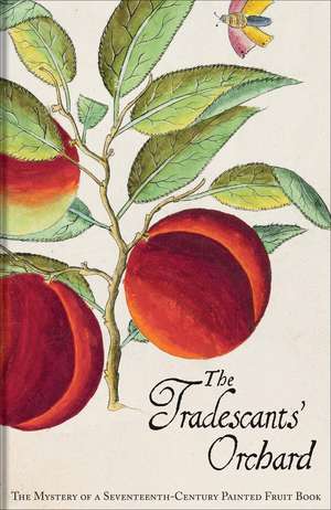 The Tradescants' Orchard: The Mystery of a Seventeenth-Century Painted Fruit Book de Barrie Juniper