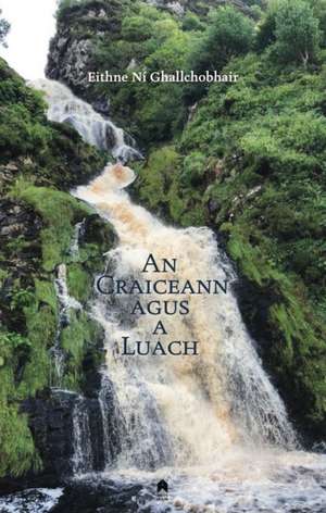 An Craiceann Agus a Luach de Eithne Ni Ghallchobhair