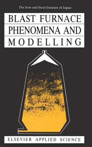 Blast Furnace Phenomena and Modelling de The Iron and Steel Institute of Japan