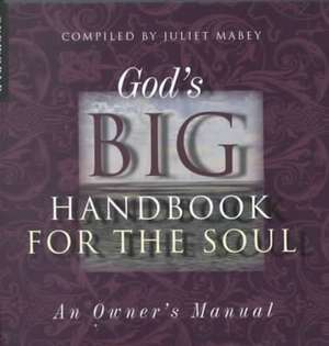 God's Big Handbook for the Soul: An Owners Manual de Juliet Mabey