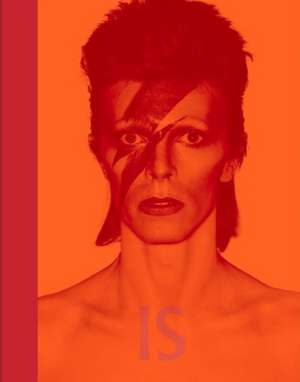 David Bowie Is inside de Victoria Broackes