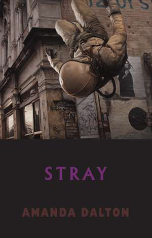 Stray: Selected Poems de Amanda Dalton