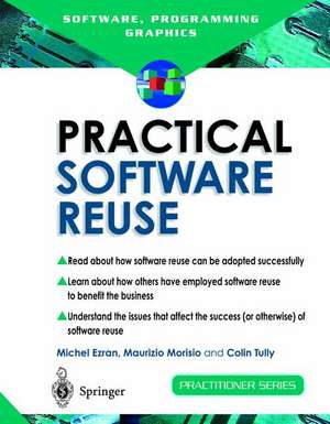 Practical Software Reuse de Michel Ezran