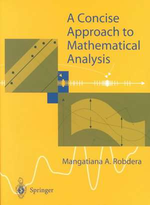 A Concise Approach to Mathematical Analysis de Mangatiana A. Robdera