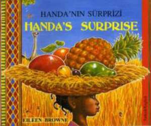 Handa's Surprise in Turkish and English de Eileen Browne