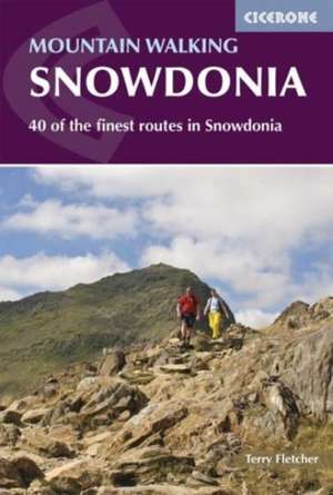 Mountain Walking in Snowdonia de Terry Fletcher