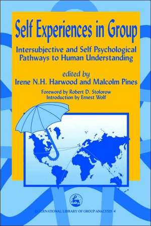 Self Experiences in Group Intersubjective and Self Psychological Pathways to Human Understanding de Irene Harwood