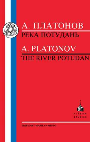 Platonov de Andrei Platonovich Platonov