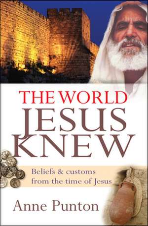 The World Jesus Knew de Anne Punton