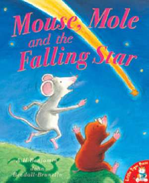 Mouse, Mole and the Falling Star de A. H. Benjamin