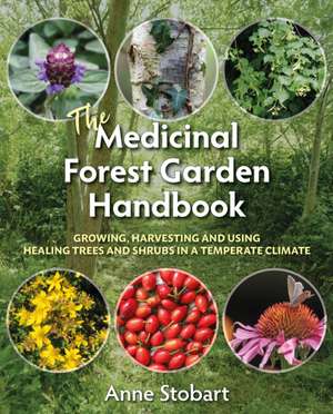 The Medicinal Forest Garden Handbook de Anne Stobart