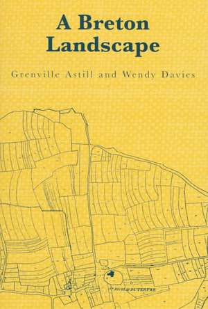 A Breton Landscape: From The Romans To The Second Empire In Eastern Brittany de Wendy Davies