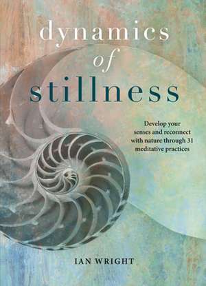 The Dynamics of Stillness de Ian Wright