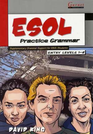 ESOL Practice Grammar de David King