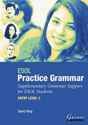 ESOL Practice Grammar de David Alan King