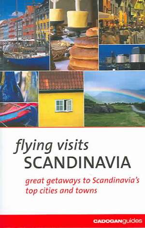 Flying Visits: Scandinavia de Joan Gannij