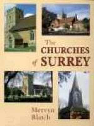 Surrey Churches de Mervyn Blatch