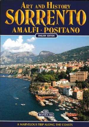 Art and History of Sorrento de B Conti